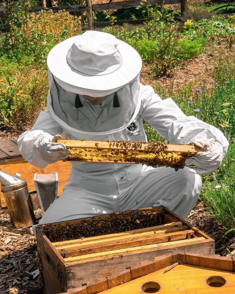 Caso de éxito: Abeja Reyna
